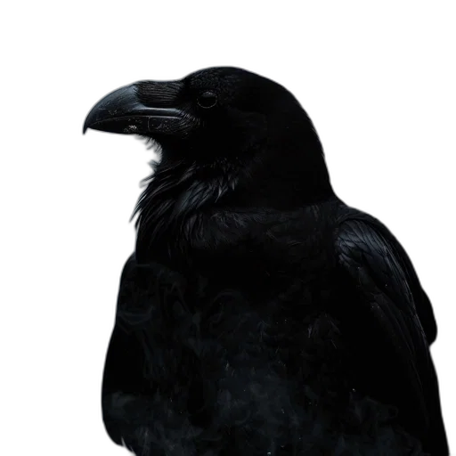 animal, mask, creature, staff transparent PNG cut-out
