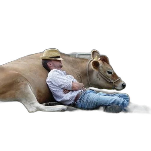 animal, hat, photorealistic, concept art transparent PNG cut-out