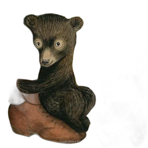 shoes, animal, creature, furniture transparent PNG cut-out