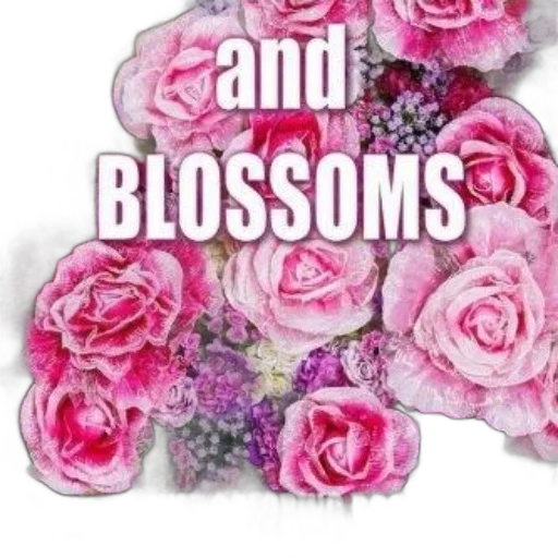 flower, blossoms, adult, coloring transparent PNG cut-out