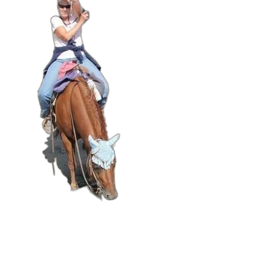 staff, jacket, animal, creature transparent PNG cut-out