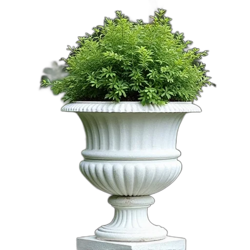 crown, furniture, flower, jewelry transparent PNG cut-out