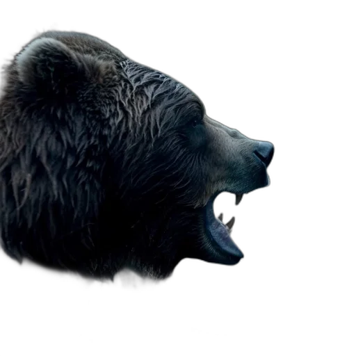 animal, creature, face, concept art transparent PNG cut-out