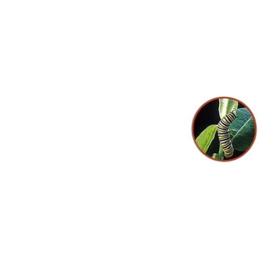 staff, tree, animal, robot transparent PNG cut-out