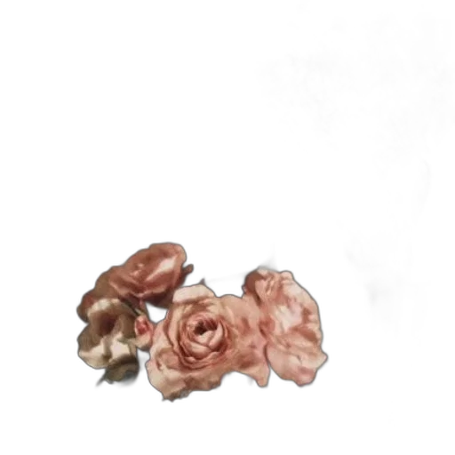 flower, jewelry, crown, food transparent PNG cut-out