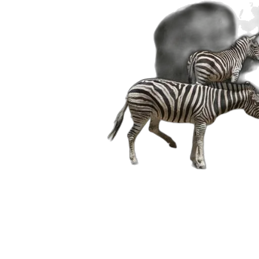 animal, creature, dragon, robot transparent PNG cut-out