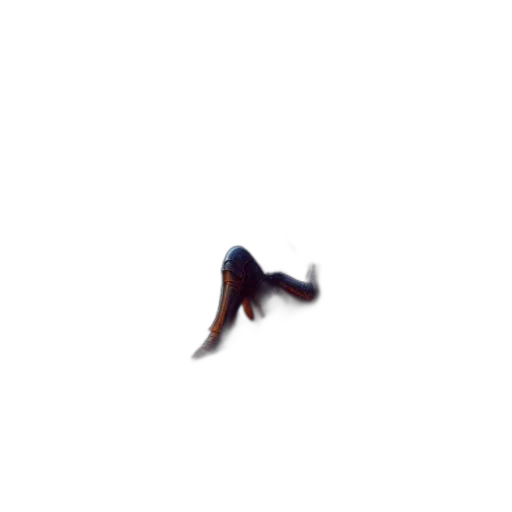 hair, creature, animal, shoes transparent PNG cut-out