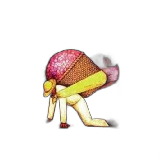 hat, shoes, creature, animal transparent PNG cut-out