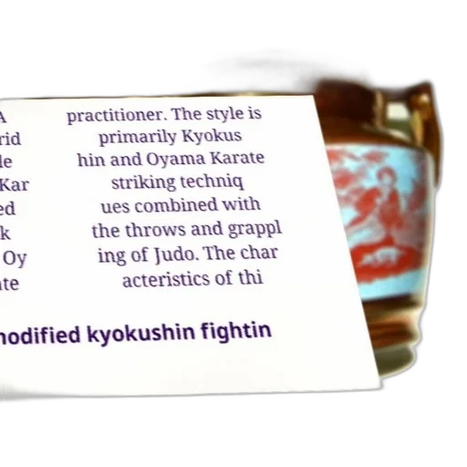 modified, kyokushin, fighting, style transparent PNG cut-out