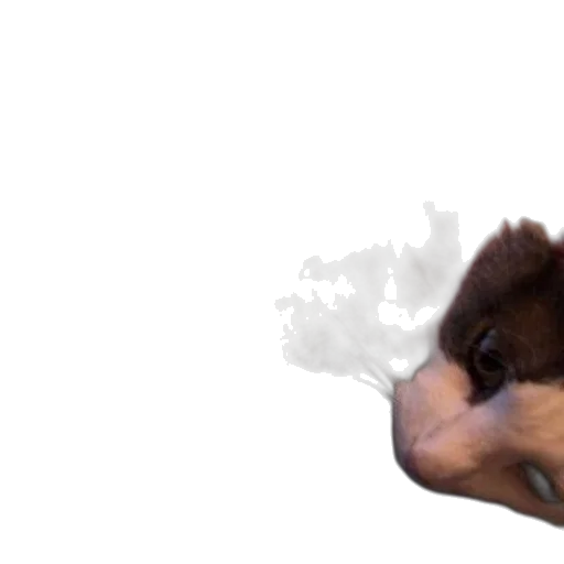 animal, creature, dragon, face transparent PNG cut-out