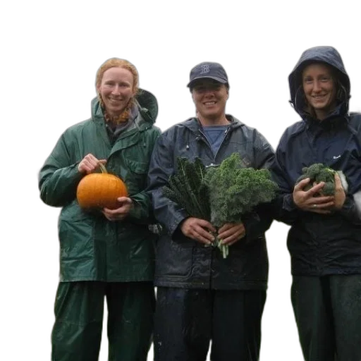 staff, three, people, raincoats transparent PNG cut-out