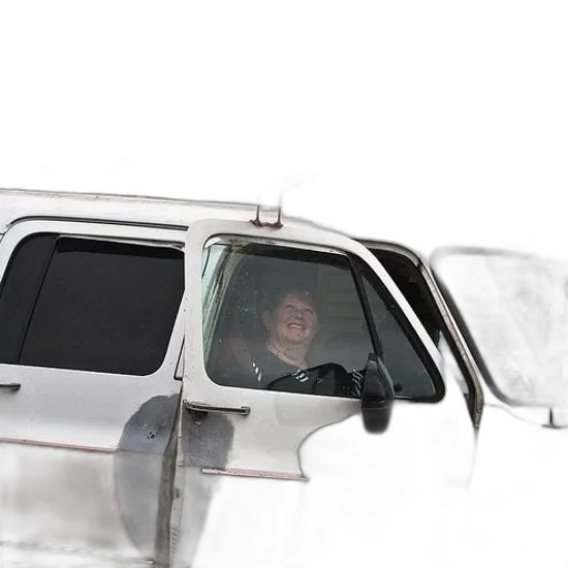 car, face, staff, animal transparent PNG cut-out