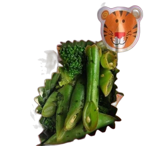 food, animal, creature, jewelry transparent PNG cut-out