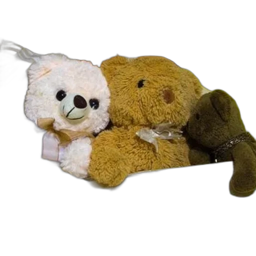 staff, three, stuffed, bears transparent PNG cut-out