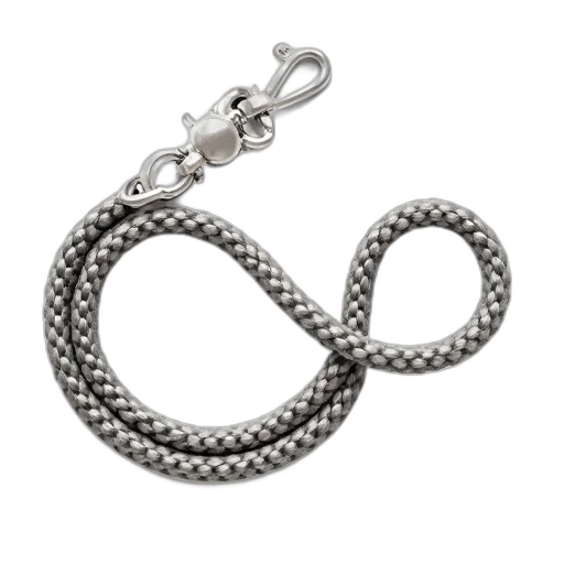 jewelry, crown, staff, coiled transparent PNG cut-out