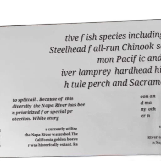 poster, highlighting, various, fish transparent PNG cut-out