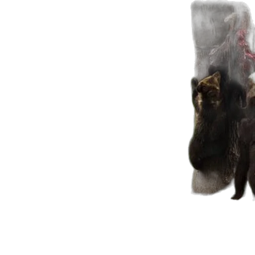 animal, creature, dragon, hair transparent PNG cut-out