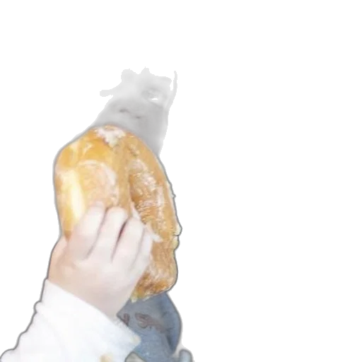 food, jacket, bottle, weapon transparent PNG cut-out