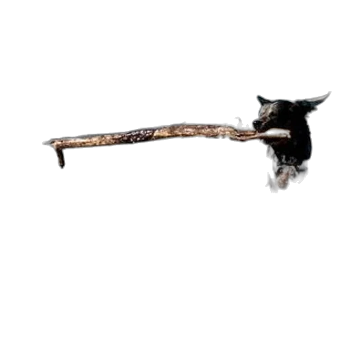 staff, weapon, sword, animal transparent PNG cut-out