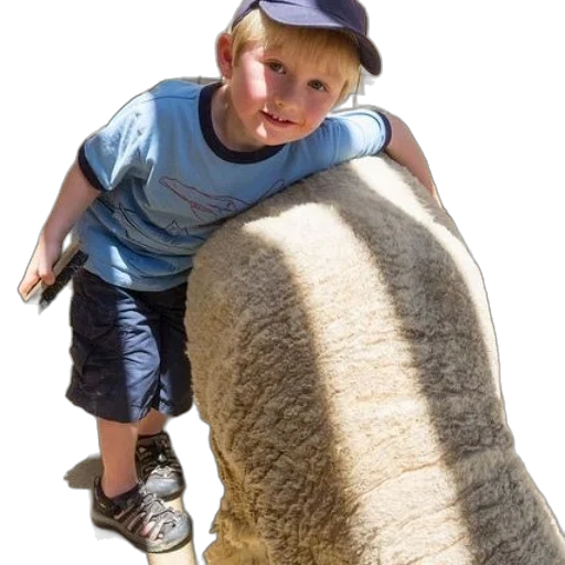 animal, hat, creature, weapon transparent PNG cut-out