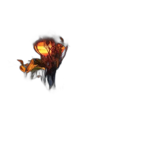 dragon, flower, weapon, hair transparent PNG cut-out