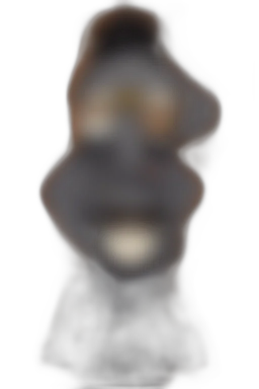 face, mask, hat, crown transparent PNG cut-out