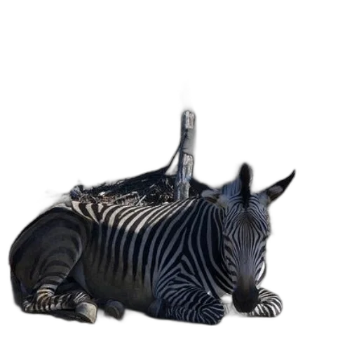 animal, creature, dragon, jewelry transparent PNG cut-out