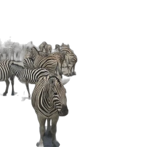 animal, creature, 3d render, concept art transparent PNG cut-out