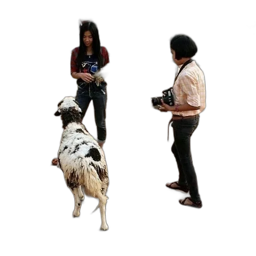 animal, staff, robot, creature transparent PNG cut-out
