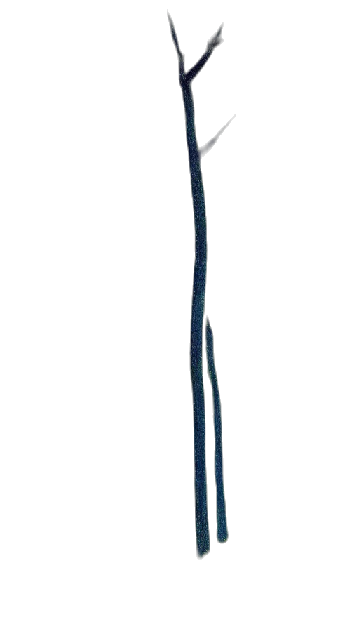 staff, dress, sword, hair transparent PNG cut-out