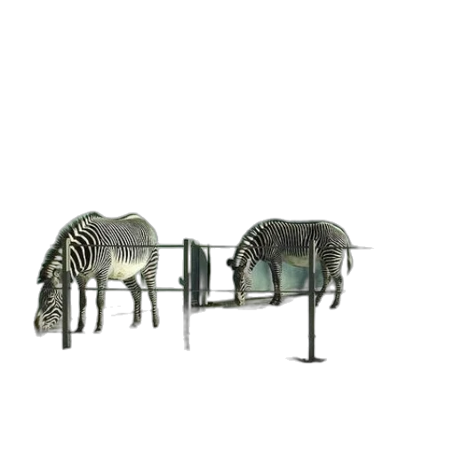 furniture, animal, creature, jewelry transparent PNG cut-out