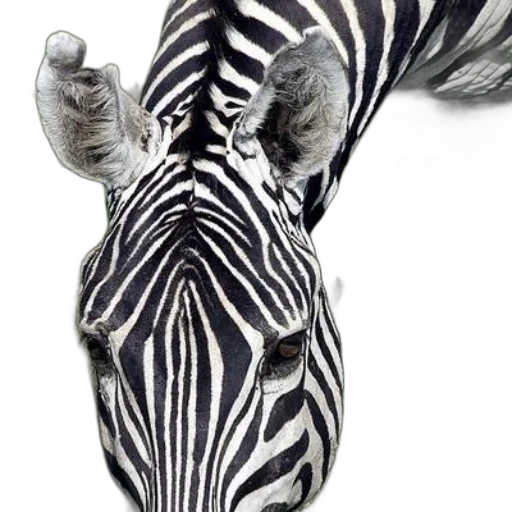 animal, creature, staff, jewelry transparent PNG cut-out