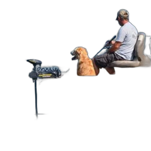 furniture, staff, animal, shoes transparent PNG cut-out