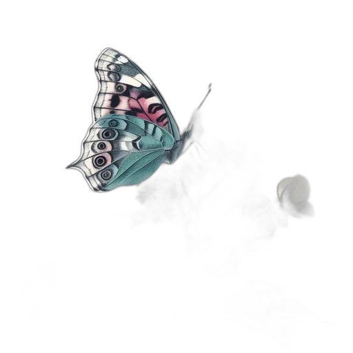 jewelry, creature, animal, umbrella transparent PNG cut-out