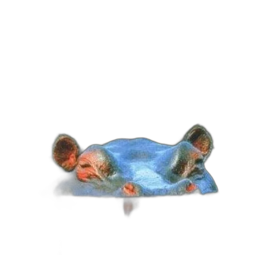 animal, creature, mask, shoes transparent PNG cut-out