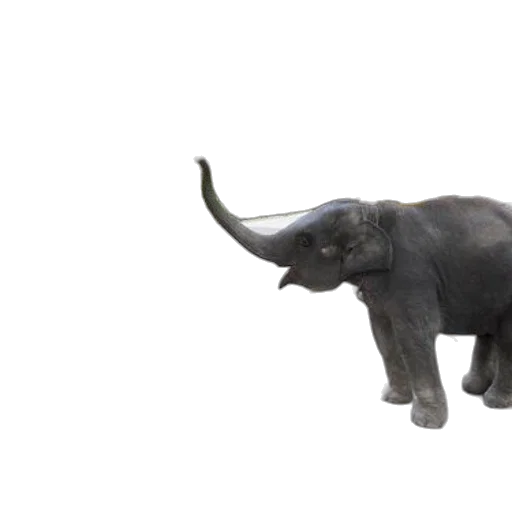 animal, creature, weapon, staff transparent PNG cut-out