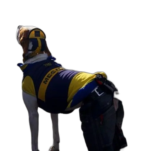 jacket, animal, robot, staff transparent PNG cut-out