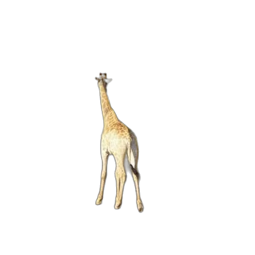 animal, creature, staff, jewelry transparent PNG cut-out