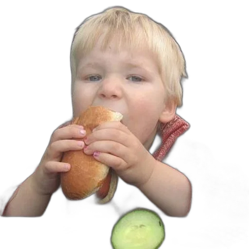 food, face, creature, animal transparent PNG cut-out