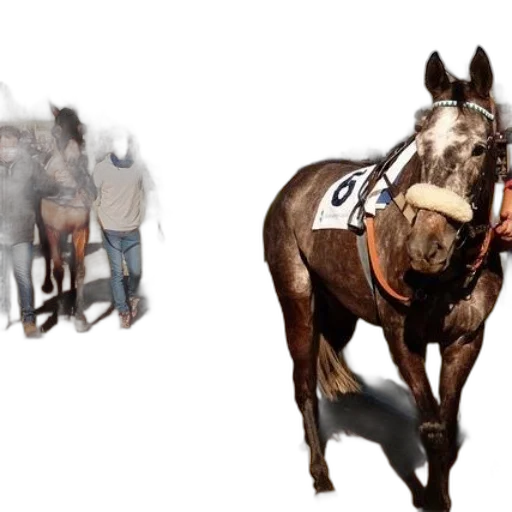 animal, staff, concept art, photorealistic transparent PNG cut-out