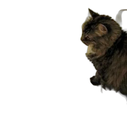staff, animal, creature, weapon transparent PNG cut-out