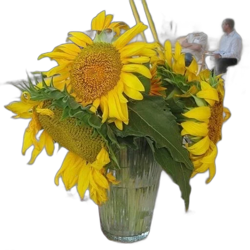 flower, crown, staff, photorealistic transparent PNG cut-out