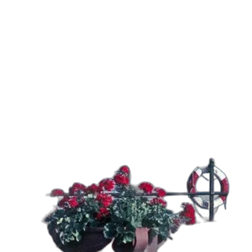 crown, jewelry, shoes, flower transparent PNG cut-out
