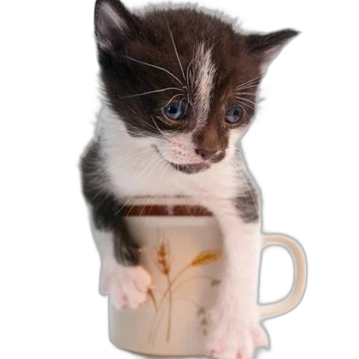 staff, animal, photorealistic, 3d render transparent PNG cut-out