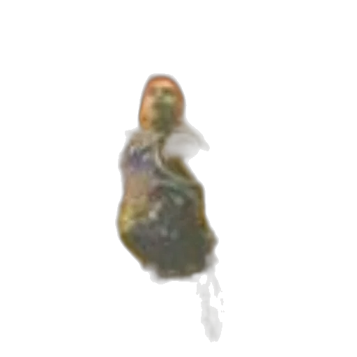 creature, animal, jewelry, hair transparent PNG cut-out