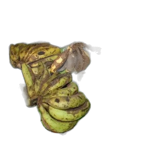 hat, jacket, food, hair transparent PNG cut-out