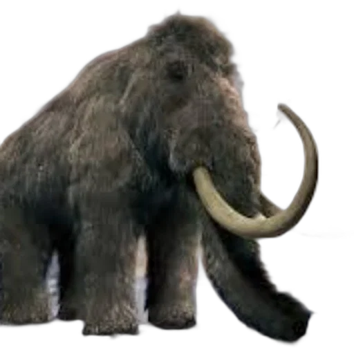 animal, creature, concept art, 3d render transparent PNG cut-out