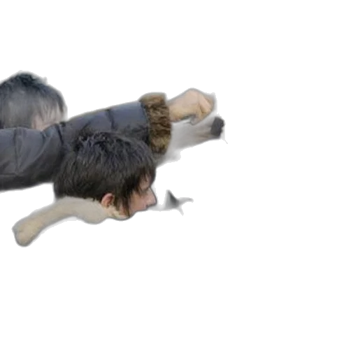 animal, creature, hair, dragon transparent PNG cut-out