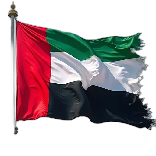 flag, united, arab, country transparent PNG cut-out