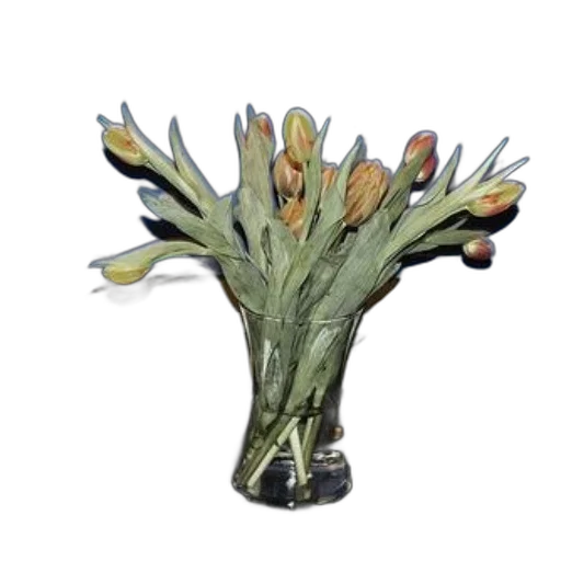 crown, tree, flower, jewelry transparent PNG cut-out